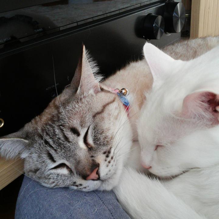 F814cc22 c4b7 45df a214 cde73c78e193 1522732175848