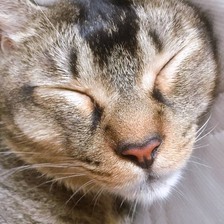 F814e1a6 5c0e 40d8 a352 4d068785fb7b 1567989855438