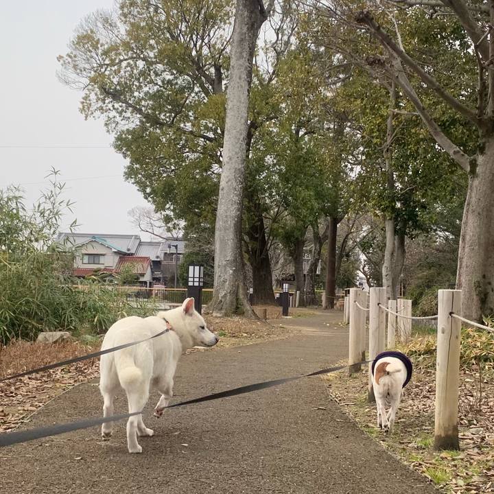 F814f418 dc59 4d51 9cd3 be15f2efb1a0 1549671001867