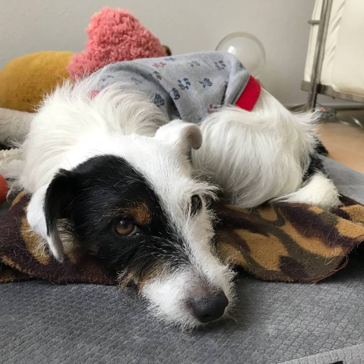 F814f5b5 5481 4dc5 beb6 59fc2c0b2ff0 1508385897237