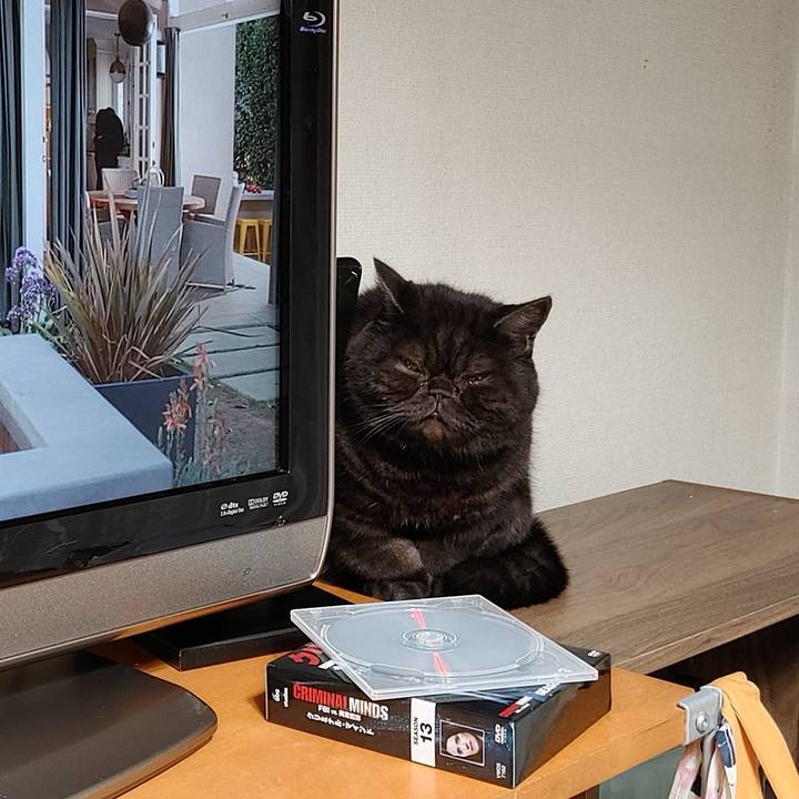 F814f653 ced0 401c ad90 7a0368b7bbed 1640031851418