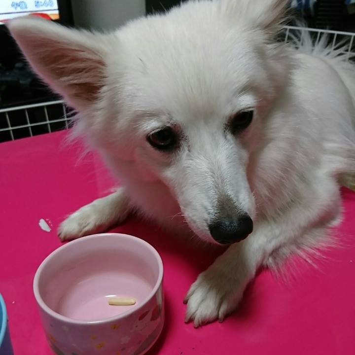 F8154eeb 2877 43fe 9563 652209f2be83 1508920866300