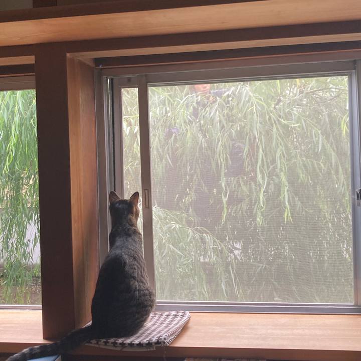 F8156a65 b843 44a8 b66b a9763bd8ca62 1684545634813