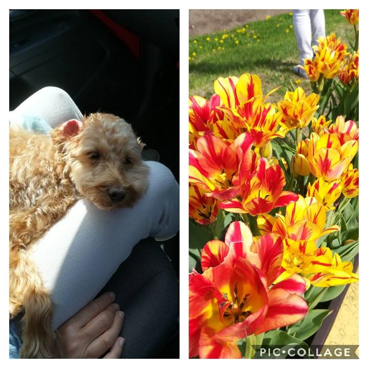 F815a2ac a55c 4c4a b6b9 b773e413b240 1558307741108