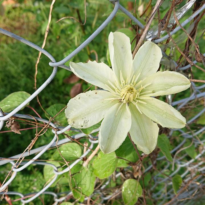 F816283f 29a0 4a85 93a1 da7718b5664a 1649719099230