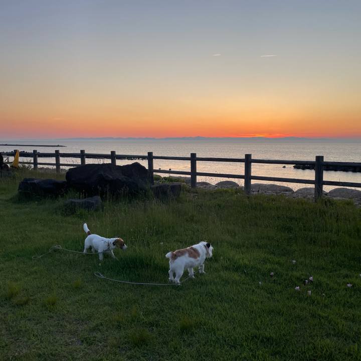 F8162873 fe2c 4900 ac36 1cd95460f916 1653388116263