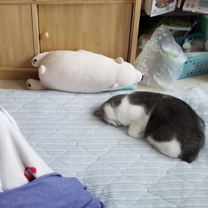 F8164957 c822 4ea8 bce4 524819beac2a 1559130107749