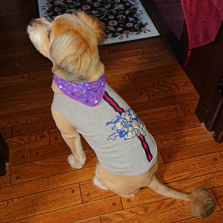 F81652de 75d0 489b a206 aef6a6a6a20a 1603615805463