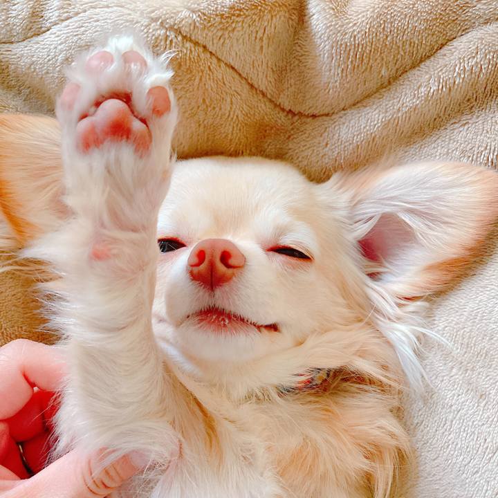 F8167292 4d06 4e00 8a56 e91c6dff8169 1646084776669