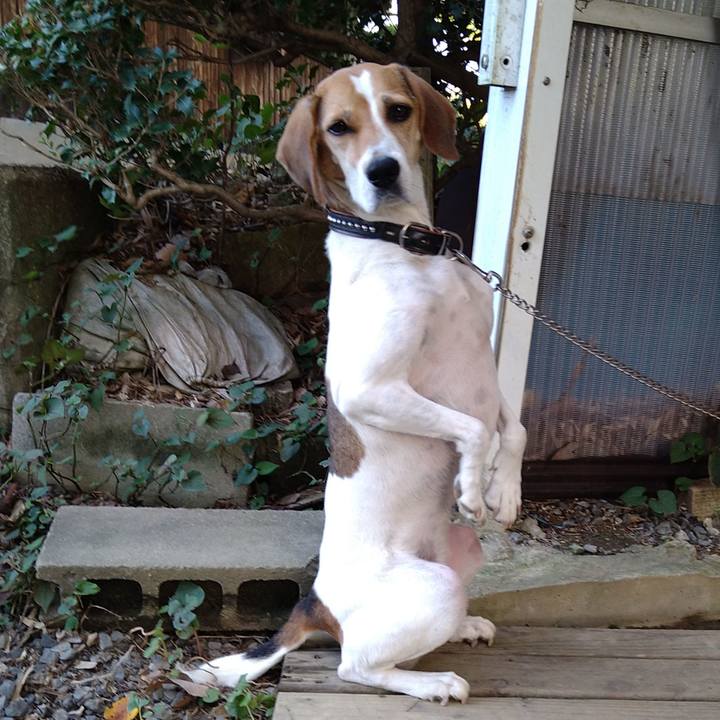 F8167a55 a1a9 47ec 9222 d9b59c6a5c4e 1632062263527