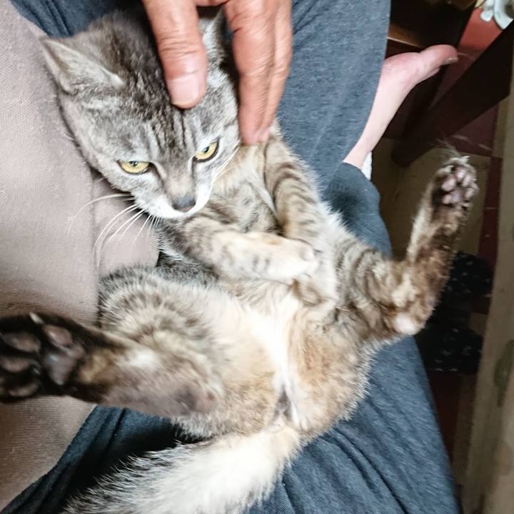 F8169d82 707b 4bd5 907b 39fbf84eaf60 1560552661187