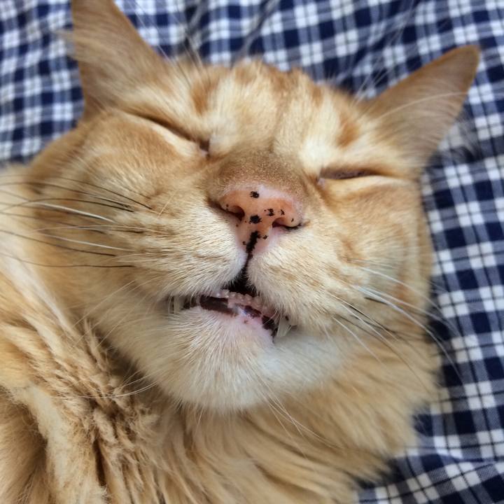 F816a24f 9153 4088 a4b8 c20619785353 1554055029762