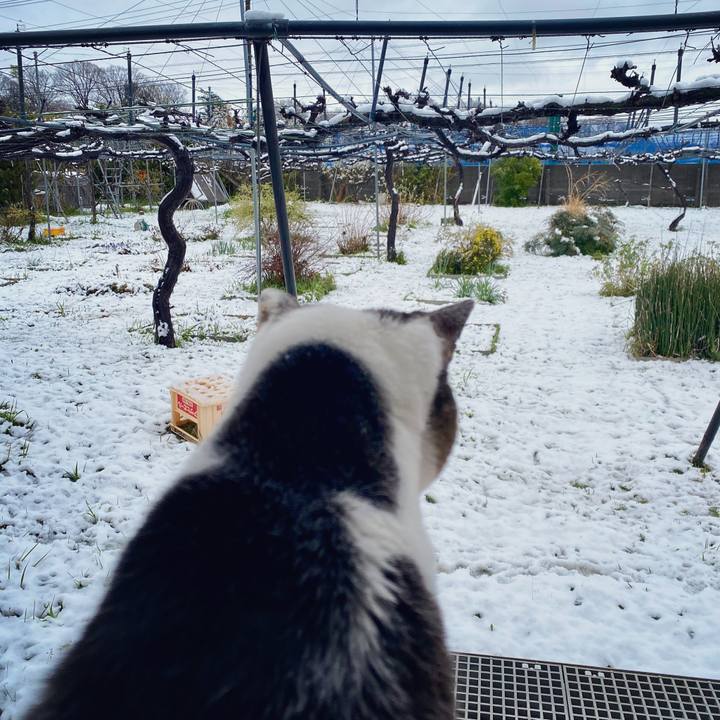 F816ba09 5066 4139 ba2e bf2f5f43edba 1585463164029