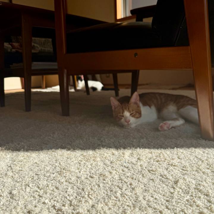 F816c87e 9ceb 4a00 bb3f 4de880d81f99 1761619840755