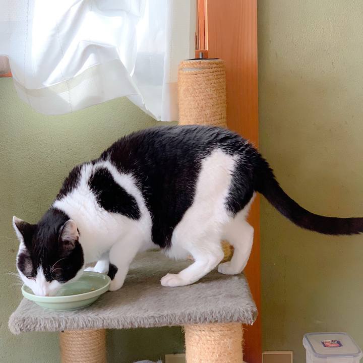 F816e919 8fa3 4d6c 9253 2642b2e7bfaf 1558488863702