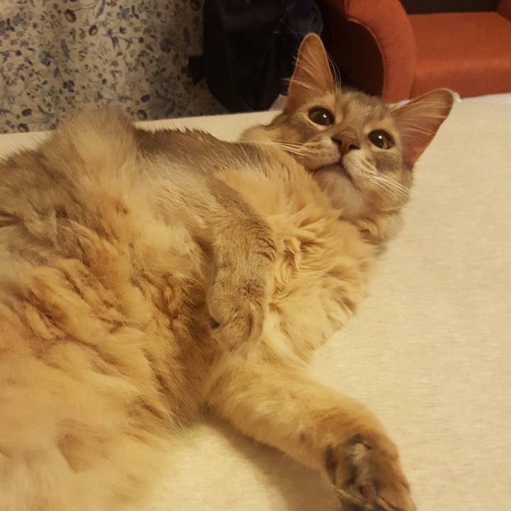 F816ec0b 2141 4726 a2f0 42144c8dad4c 1569159977528