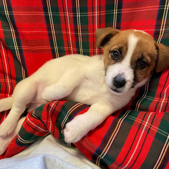 F816f2b6 beef 412d 9598 b3bd0065a175 1615081911756