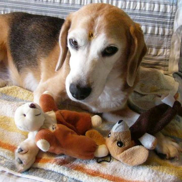 F817202e 8cbf 4733 9dfe a38d7624a267 1665709760754