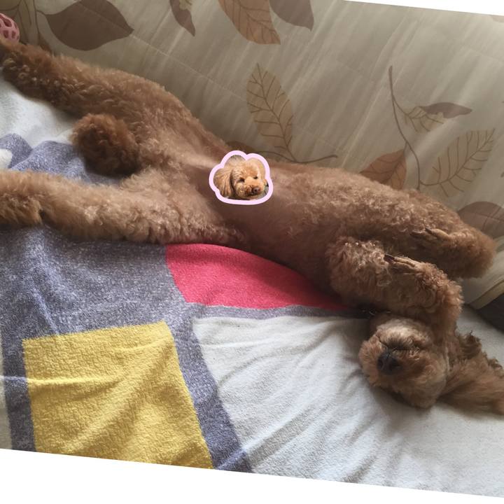 F81735b5 071b 42fa bb81 9fb0dfc193c7 1533436695684