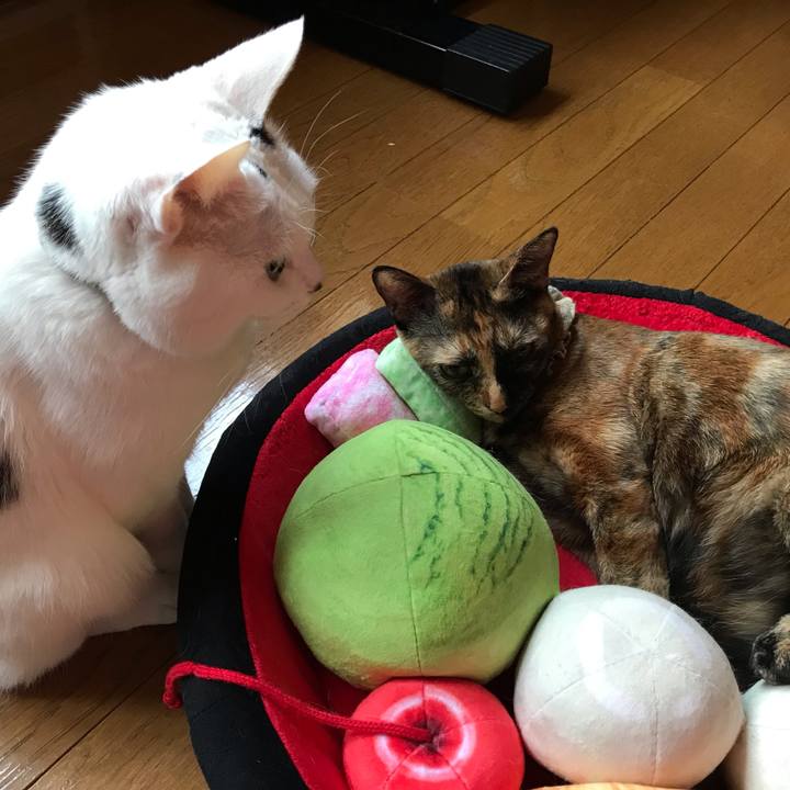 F81788b5 2137 4499 824e b7431efe1fe5 1636930025804