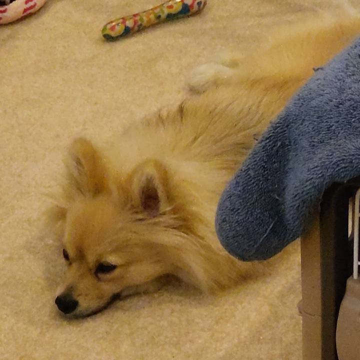 F817aff9 858e 400a b000 bab1b07d7cb8 1747980687243