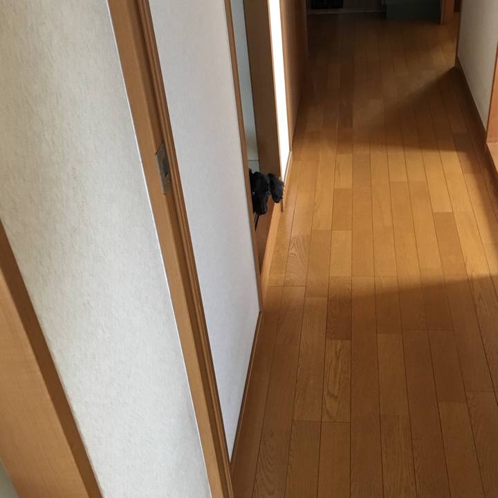 F817d493 b544 499f 9629 da87117a3248 1524520643905