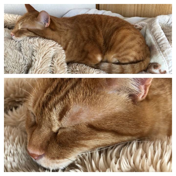 F817e380 f711 4b5e 9fac 78a8eb71d316 1647071481814