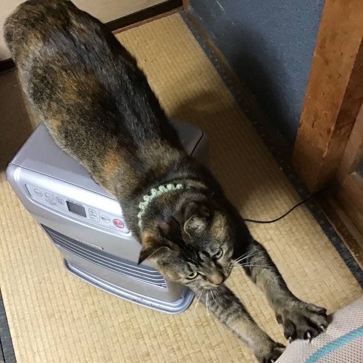 F817ecc0 fd3e 4a4d bd8c a8a7139379c8 1640300379926