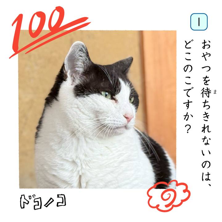 F8185df8 9d9f 4583 8bb4 d790310c02b9 1744254387826