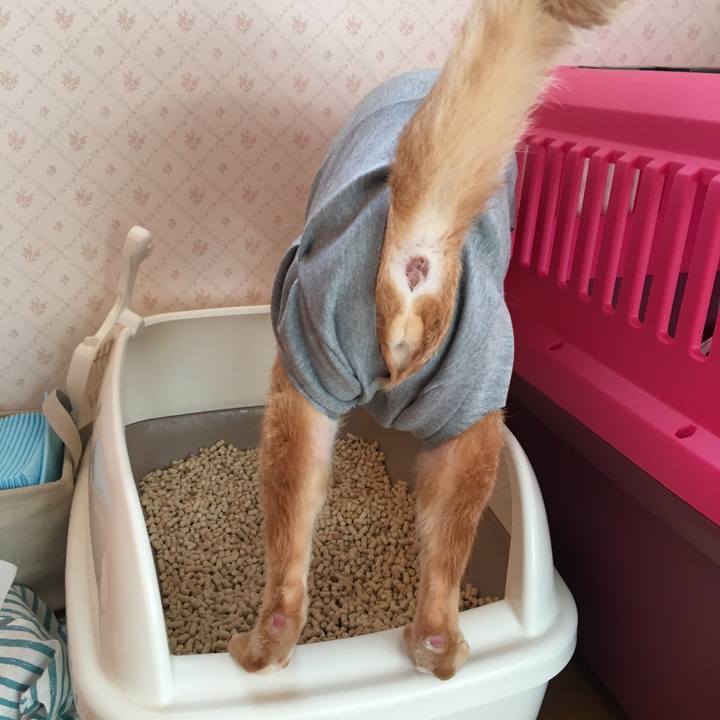 F818b093 ab9f 4cf1 ba1f c318c24e7f16 1522538106193