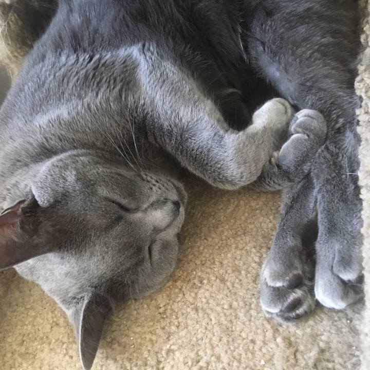 F818c309 763e 4eed 84f0 209cbb7e8355 1651279511201