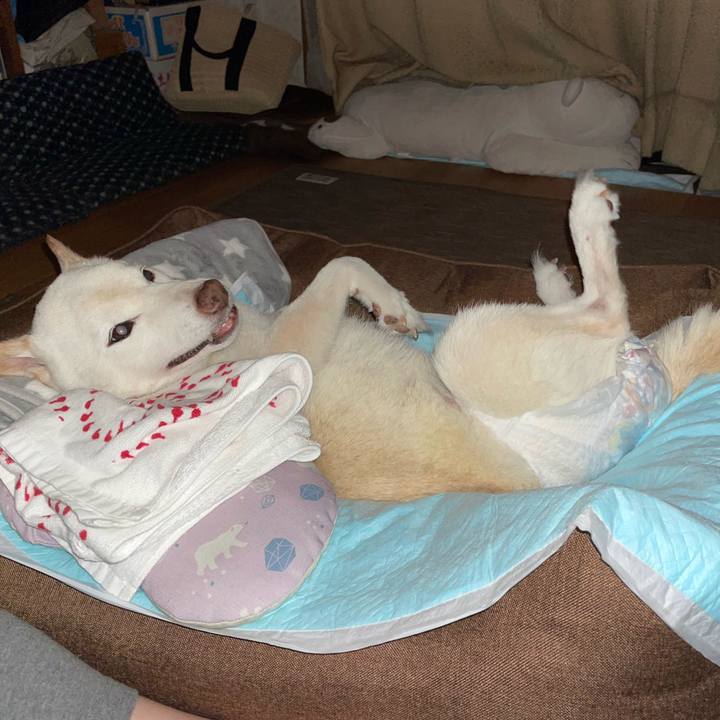 F818d51d 88b8 4530 b310 e84be51a789b 1666717885982