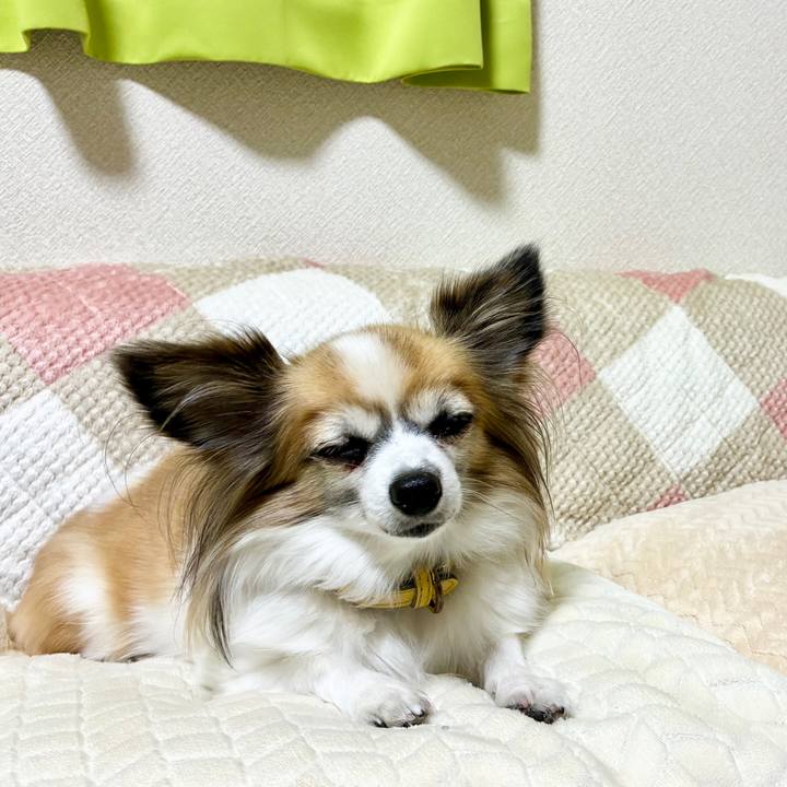 F8192045 efd2 47a1 8dd7 9a4827f77fdb 1763482682338