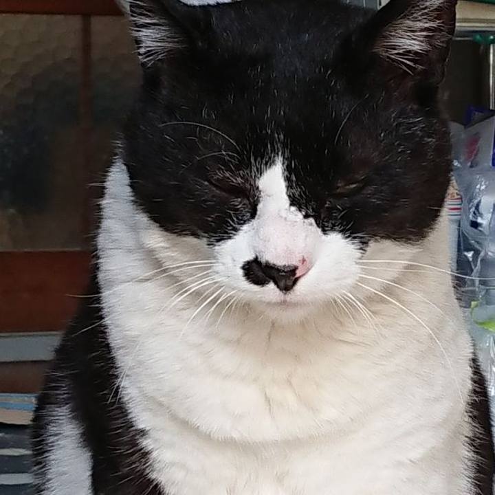 F81923cc 6827 44e9 8cd7 01cde70d0fdd 1588822629925