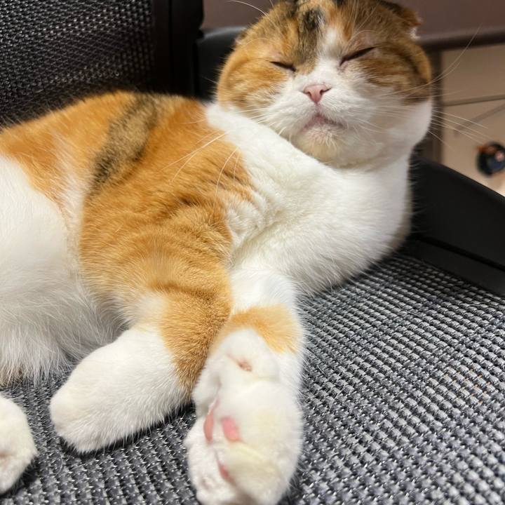 F819616b eef4 4073 84d4 b083f308b8ae 1718359233709