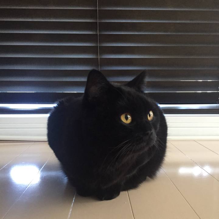 F8197272 610c 4ca1 ad9b 739d9896866c 1564960801286