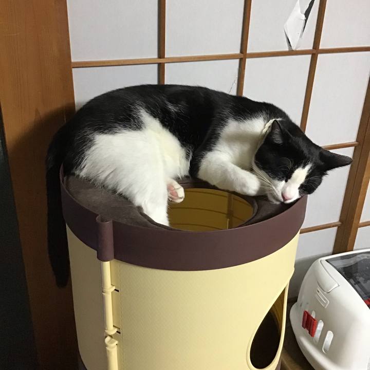 F8197811 77d1 4b83 9edc 334fe2cbb769 1653904269085