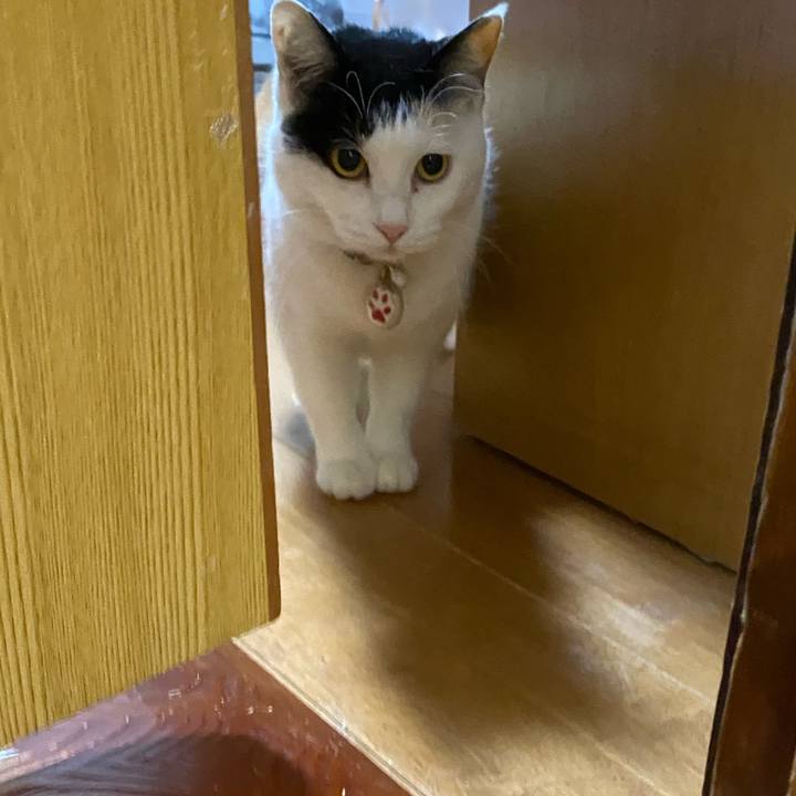 F819cc5a 3cd7 49ac 8b08 6722b93e9f8e 1644960635218