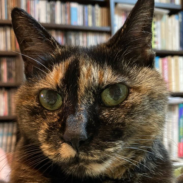 F819de67 77cb 4249 92df cdb90e3f7d72 1628918073098