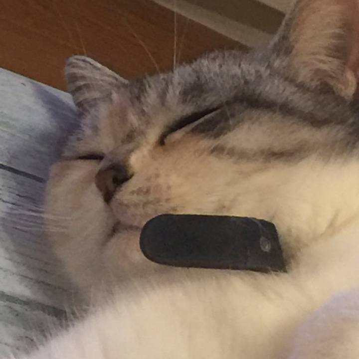 F819df8b a92a 43de a2f0 17939fea7eb4 1557415873052