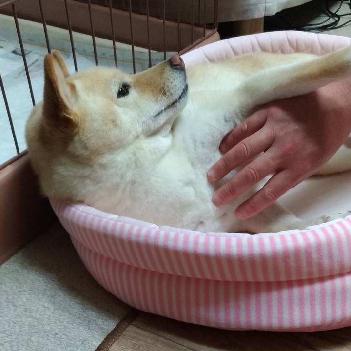 F819e7b4 6420 433e acb5 334c62f7b649 1590960237446