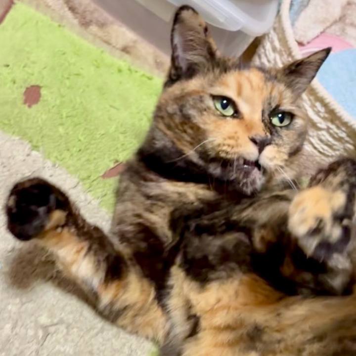 F81a7a87 99ae 4e08 9454 2306da372a54 1762601044095