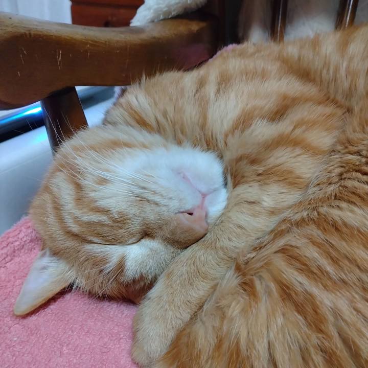 F81a803d f98b 430c 9212 07034dcd652c 1675922591257