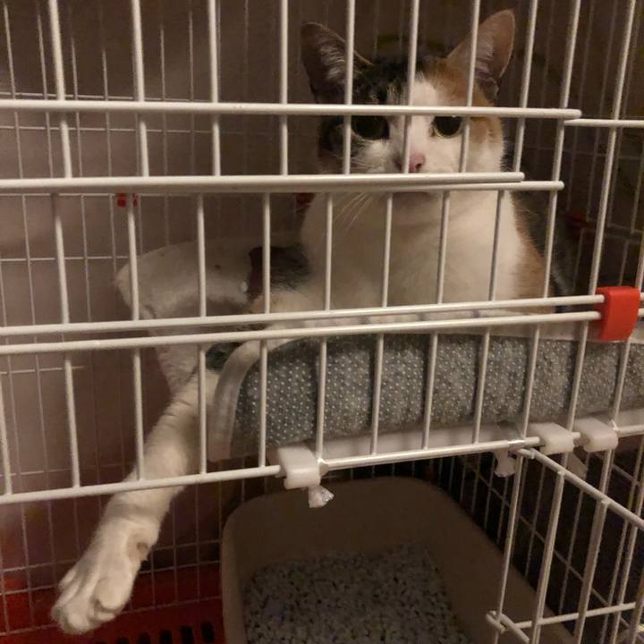 F81ae205 0db8 4ce0 8ecd 350f17c9a617 1580824950104