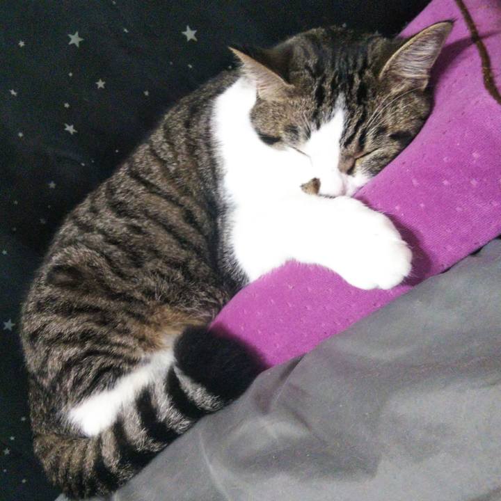 F81b3c49 0f40 4fe8 a40f 816218f8fdc9 1626916614447