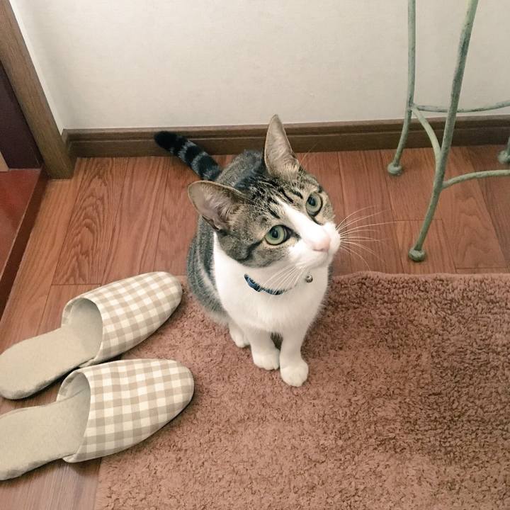 F81b48b4 9501 4609 9aa5 08994645c967 1540021433061