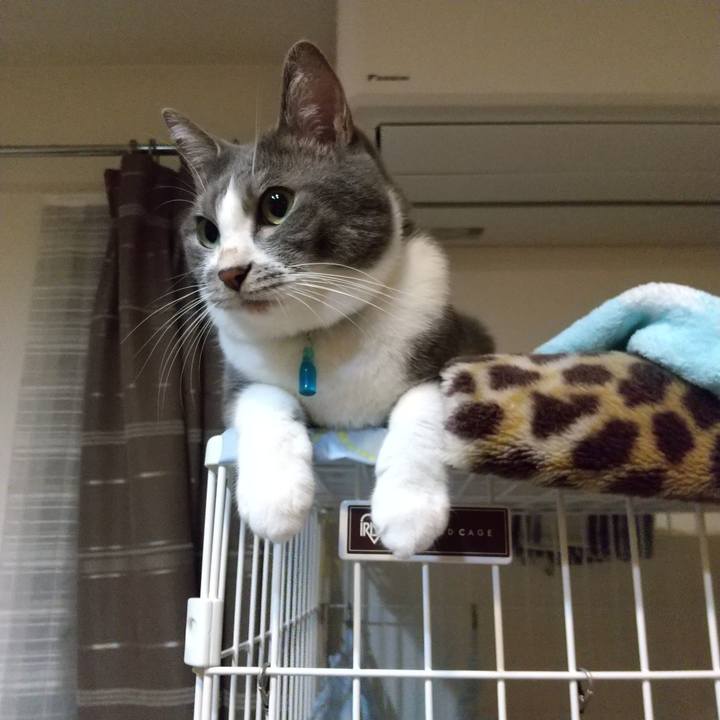 F81b4aba 9276 4ac2 8855 7a934377c7f9 1635774776129