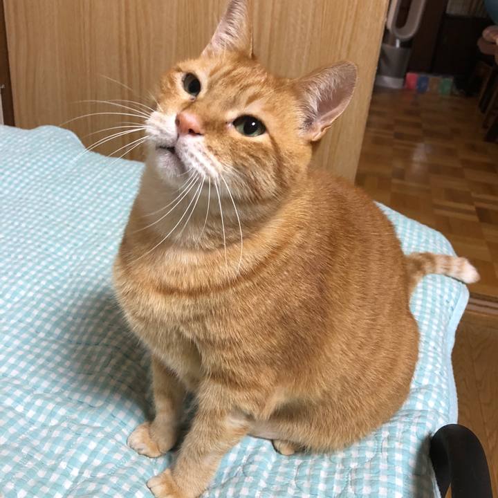 F81b4f42 00fb 4560 9bdf 0648fb969405 1728462438325