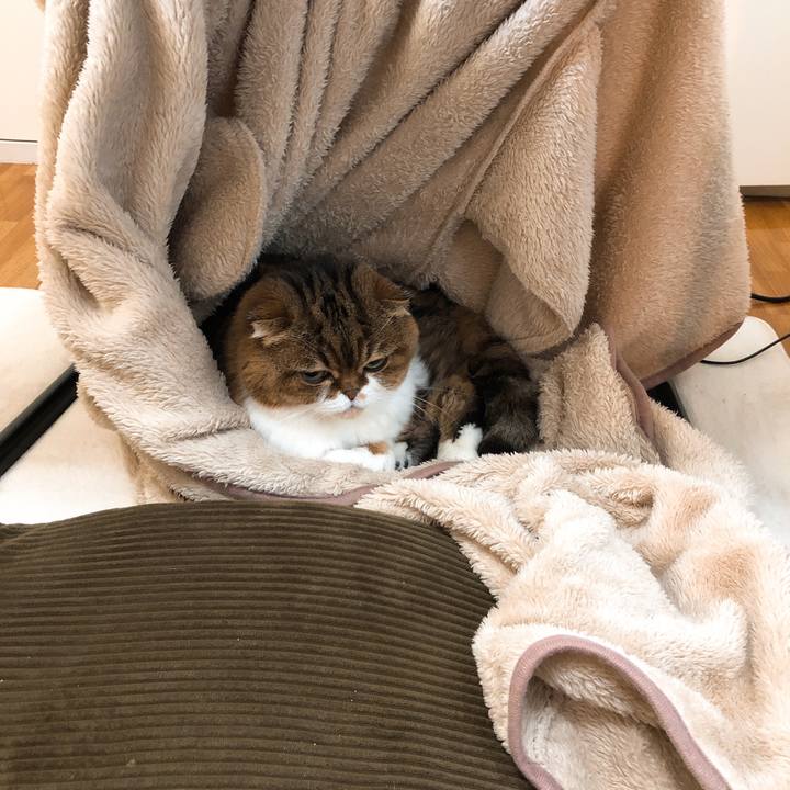 F81b5a31 ec60 43e1 9e1b 082a3831dd84 1552027155787