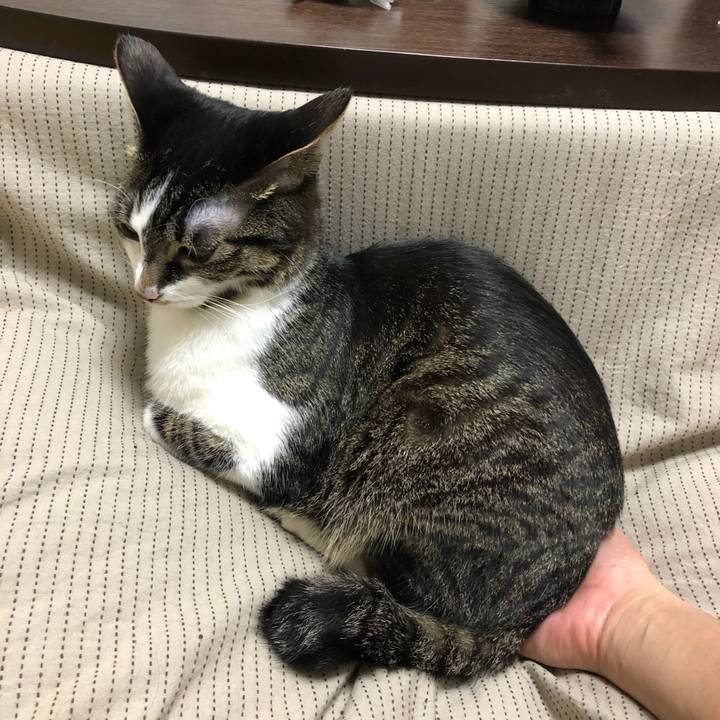 F81b756f 61f8 4439 83bc db60829f0564 1524880926486